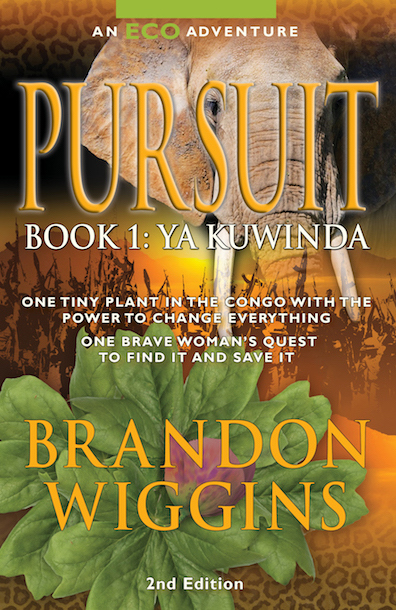 Pursuit book cover