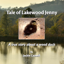Lakewood Jenny Book Cover